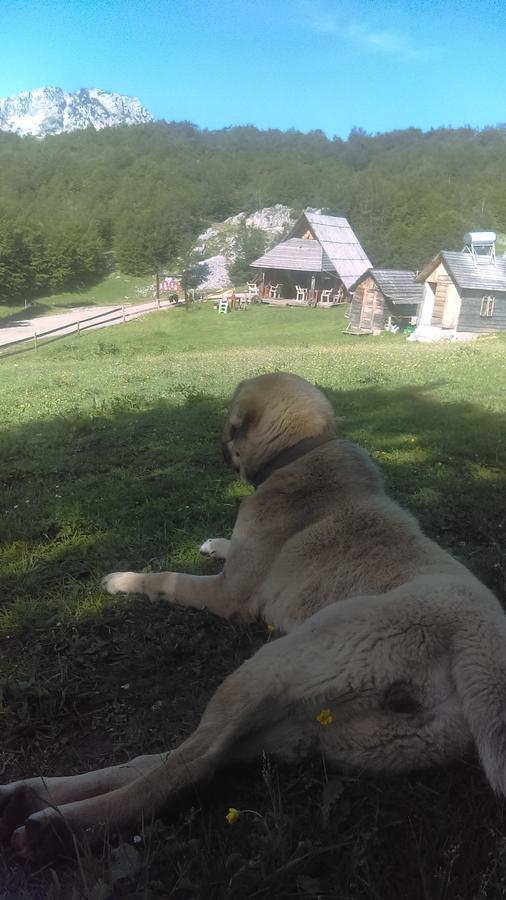 Etno Village Katun Chalet Žabljak